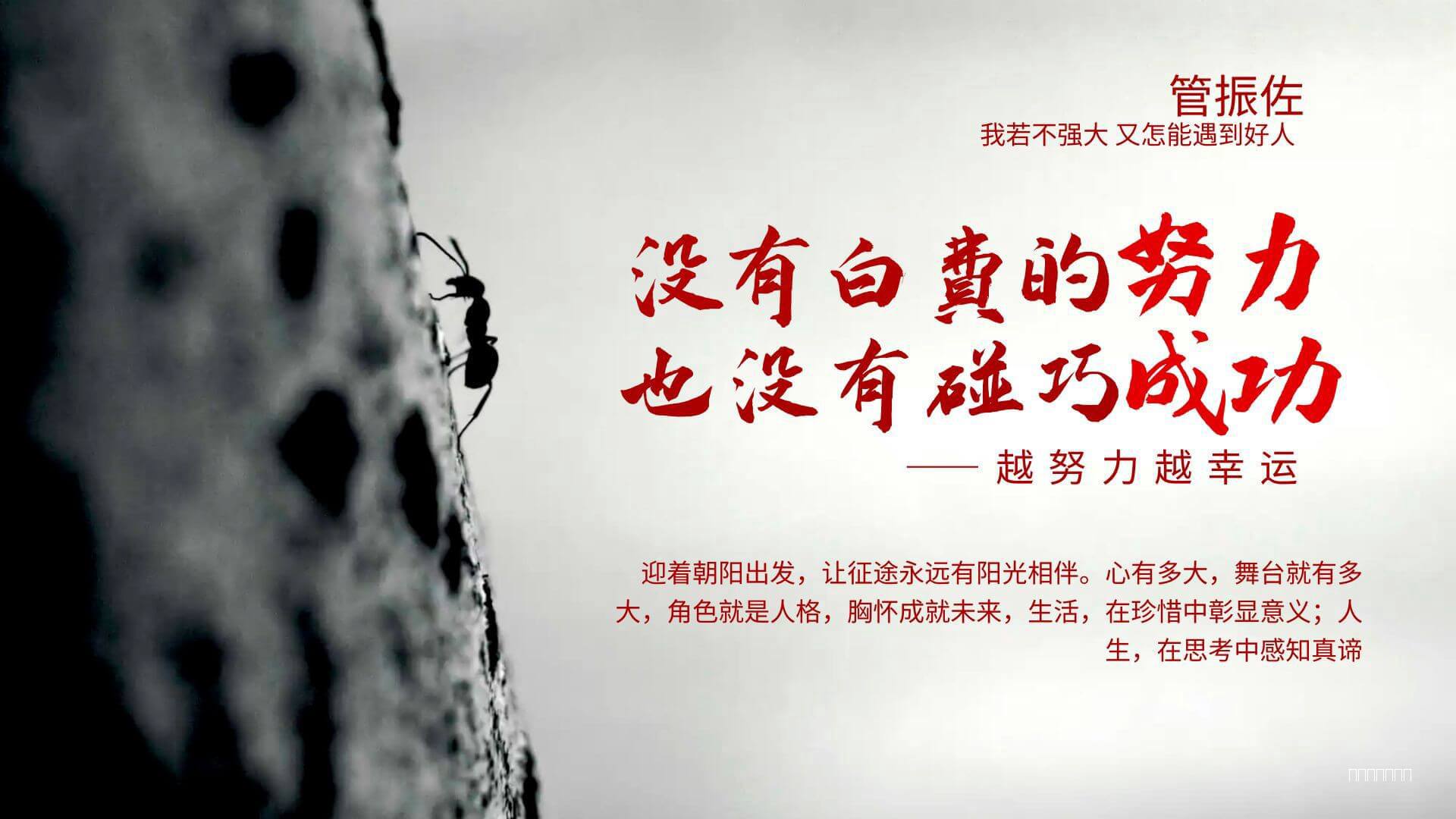 我若不强大，又怎能遇到好人